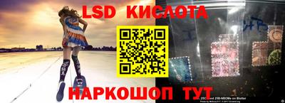 прущие грибы Кулебаки