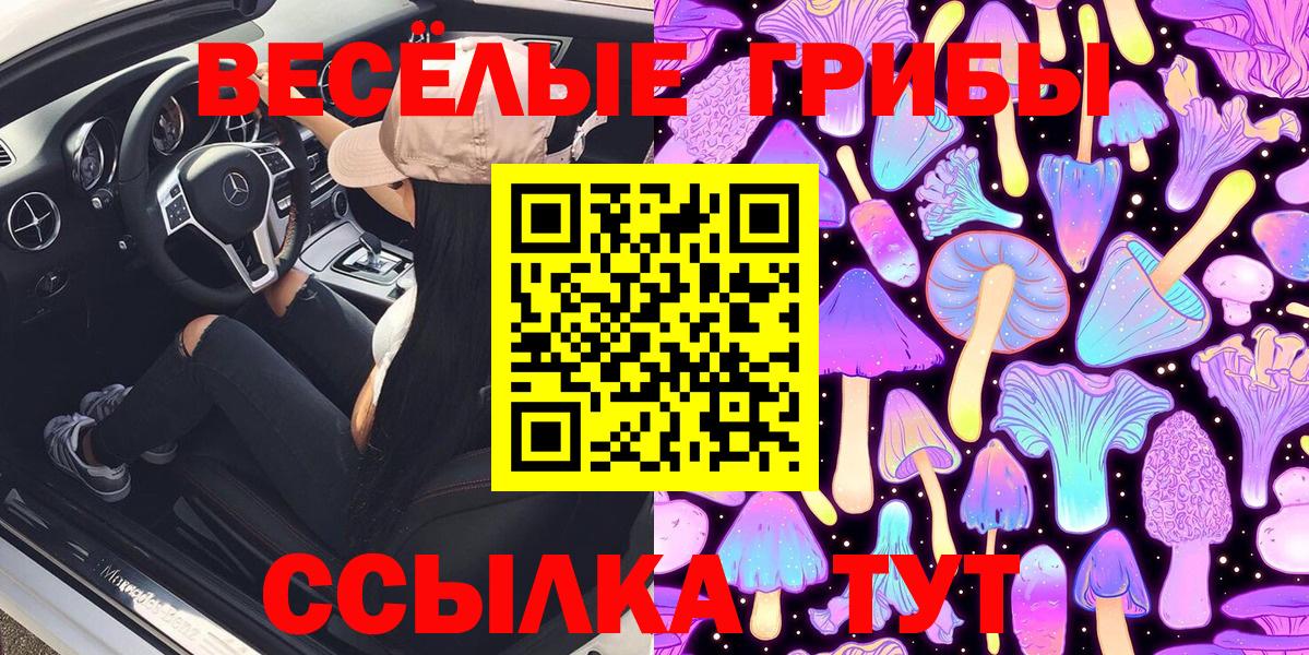 Гатчина  Псилоцибиновые грибы Psilocybe  Вход с VPN  Галлюциногенные грибы мицелий 